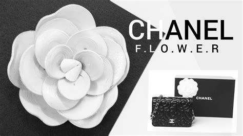 60 Chanel Paper Flowers ideas 